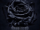 Immorium - Rose Water Black Album Download