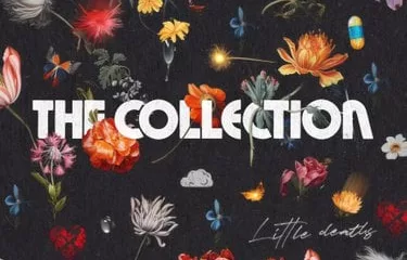 The Collection - Little Deaths Album Download