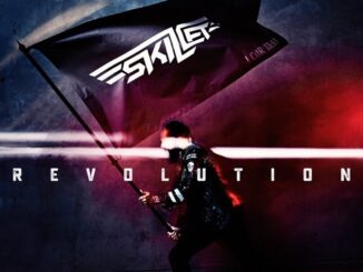 Skillet – Not Afraid